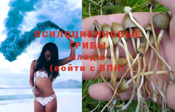 молекула духа Лихославль