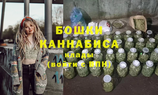 молекула духа Лихославль