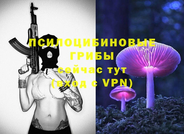 молекула духа Лихославль