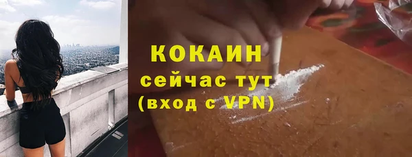 дживик Липки