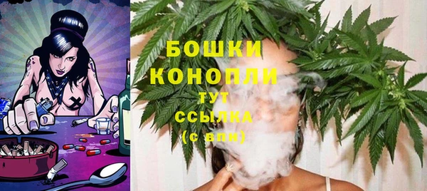 дживик Липки