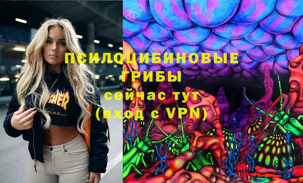 молекула духа Лихославль