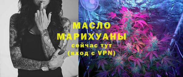 дживик Липки