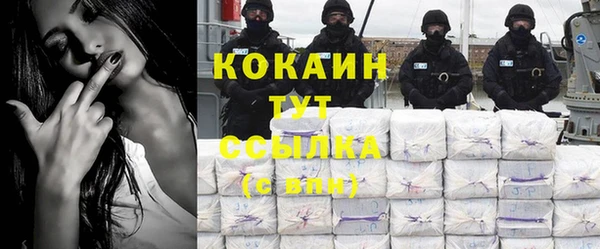дживик Липки