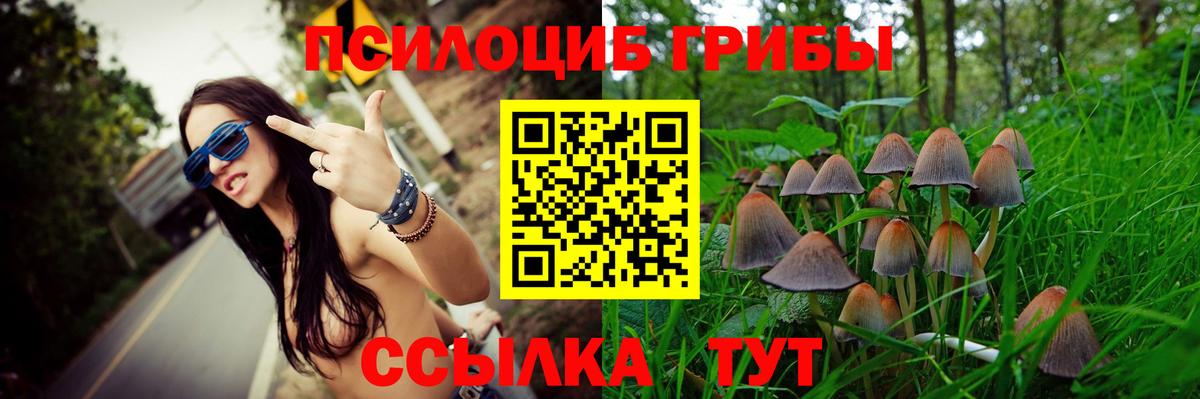 Галлюциногенные грибы Psilocybe  Вход с VPN  Троицк 