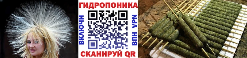 Марихуана OG Kush  блэк спрут   Троицк 
